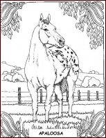 disegni/cavalli/cavallo_59.jpg