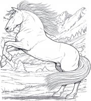 disegni/cavalli/cavallo_6.jpg