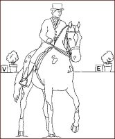 disegni/cavalli/cavallo_65.jpg