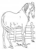 disegni/cavalli/cavallo_67.jpg