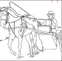 disegni/cavalli/cavallo_72.jpg