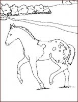disegni/cavalli/cavallo_74.jpg