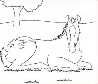 disegni/cavalli/cavallo_76.jpg