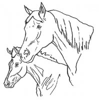 disegni/cavalli/cavallo_78.jpg