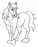 disegni/cavalli/cavallo_79.jpg