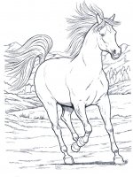 disegni/cavalli/cavallo_9.jpg