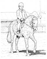 disegni/cavalli/cavallo_92.jpg