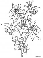 disegni/fiori/fiori_32.JPG