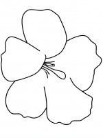 disegni/fiori/fiori_60.JPG