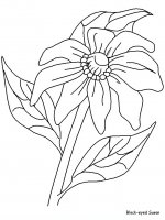 disegni/fiori/fiori_77.JPG