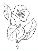 disegni/fiori/rosa.JPG