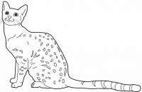 disegni/gatti/egiziano.jpg