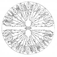 disegni/mandala_animali/mandala_animali_20.JPG