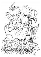 disegni/pasqua/pasqua_cx5.jpg