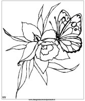 disegni/primavera/farfalla_fiore2.jpg