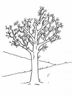 disegni/primavera/primavera_11.gif