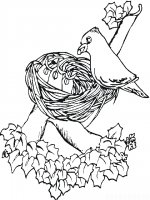 disegni/primavera/spring_bird.jpg