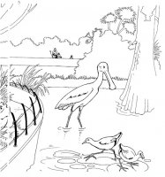 disegni/zoo/zoo_008.JPG