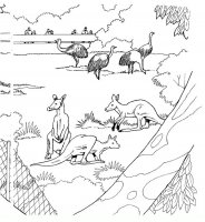 disegni/zoo/zoo_012.JPG