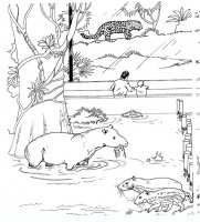 disegni/zoo/zoo_015.JPG