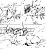 disegni/zoo/zoo_021.JPG