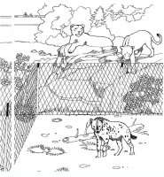 disegni/zoo/zoo_023.JPG